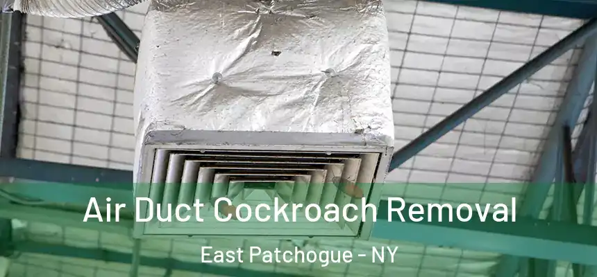 Air Duct Cockroach Removal East Patchogue - NY