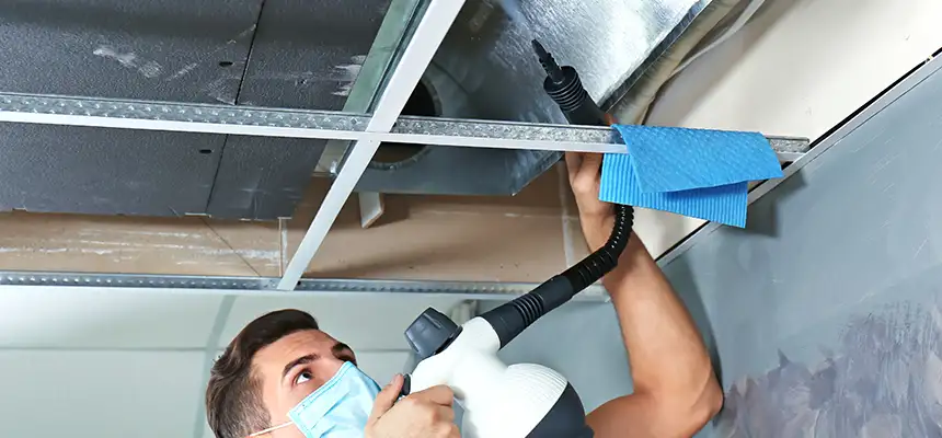Our Air Duct Rodent Removal Services in East Patchogue, NY