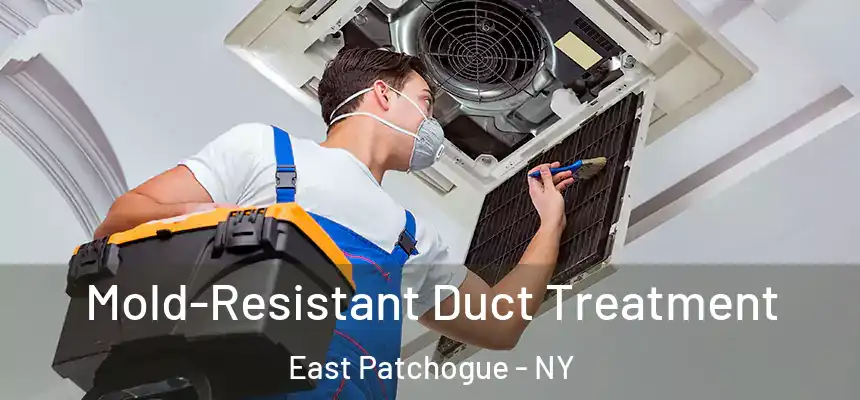  Mold-Resistant Duct Treatment East Patchogue - NY