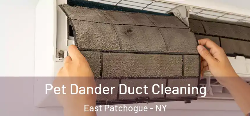  Pet Dander Duct Cleaning East Patchogue - NY