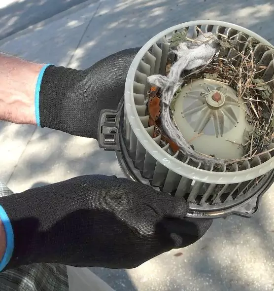 About Air Duct Mice Removal in East Patchogue, NY