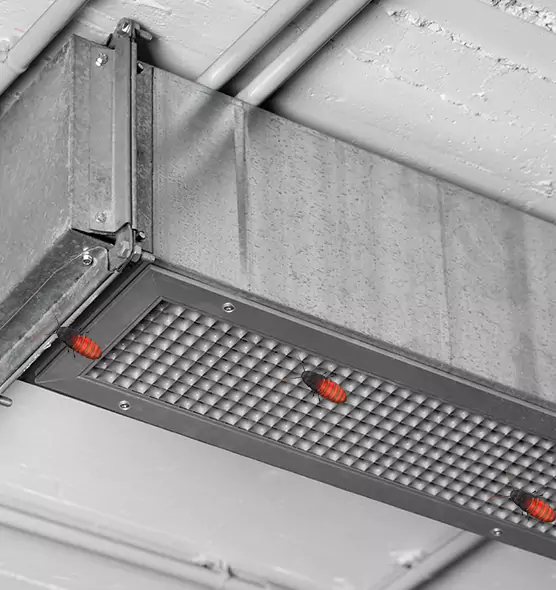 Affordable Insect Removal from Air Ducts in East Patchogue, NY