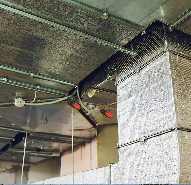 Why Homeowners & Businesses Trust Us in East Patchogue, NY?