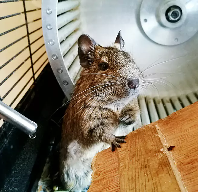 Why Homeowners & Businesses Trust Us East Patchogue, NY