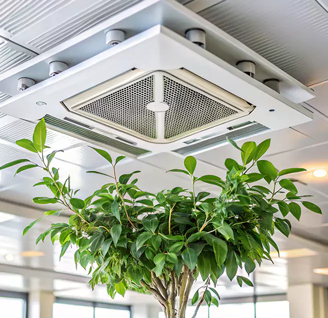 Why Homeowners & Businesses Trust Us in East Patchogue, NY